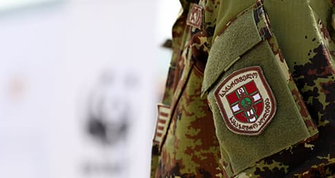 The suspects could face up to five years in prison if found guilty.