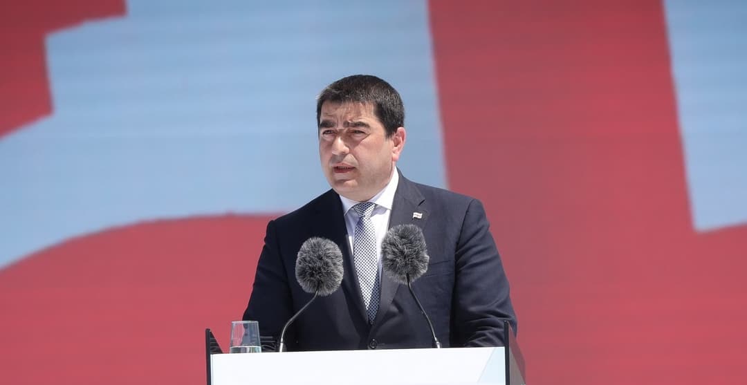 Georgian Speaker claims West misrepresents European values