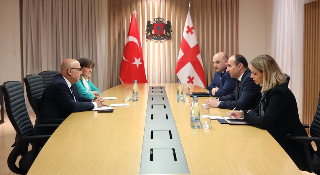გეკა გელაძე საქართველოში თურქეთის ელჩს შეხვდა