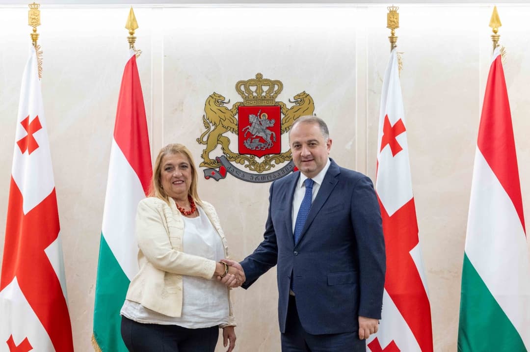 ირაკლი ჩიქოვანმა უნგრეთის ელჩთან გამოსამშვიდობებელი შეხვედრა გამართა