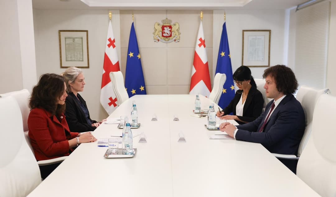 ირაკლი კობახიძე წითელი ჯვრის საერთაშორისო კომიტეტის (ICRC) წარმომადგენლებს შეხვდა