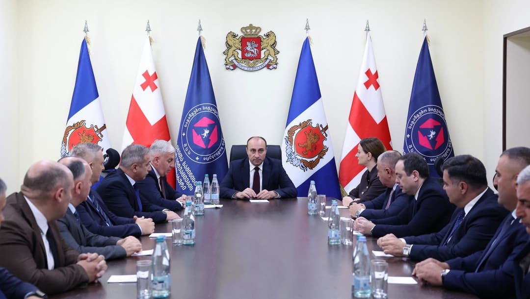 გეკა გელაძემ შსს-ს საგანგებო სიტუაციების მართვის სამსახურში შეხვედრა გამართა