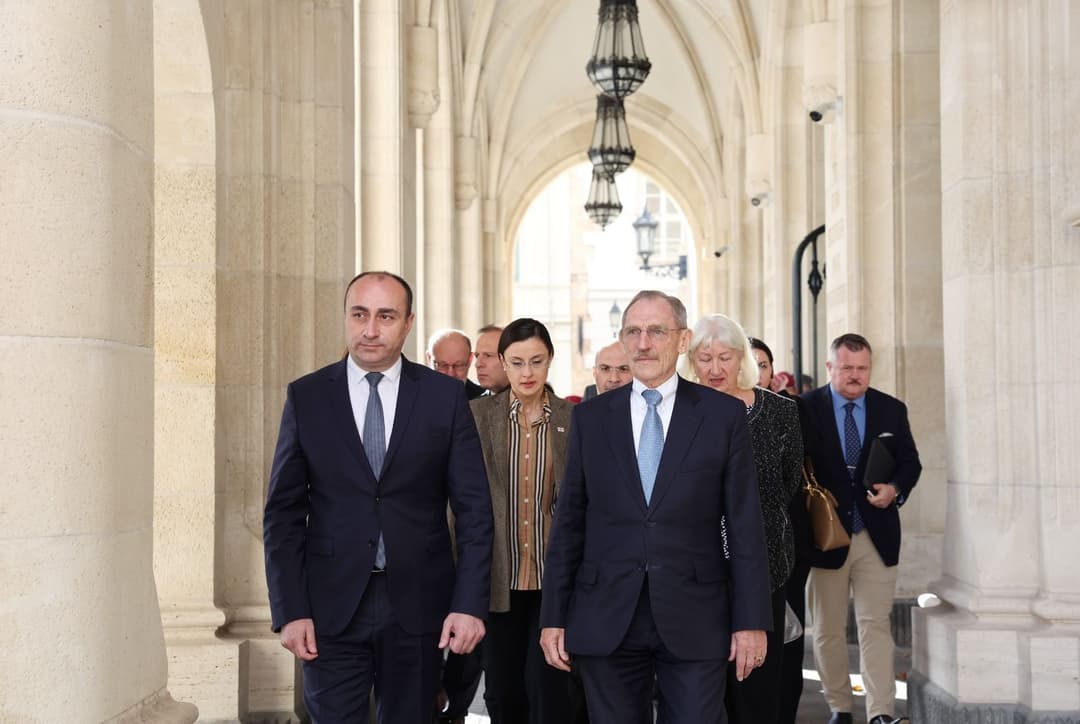 გეკა გელაძე უნგრეთის შს მინისტრის მიწვევით ბუდაპეშტში ოფიციალური ვიზიტით იმყოფება