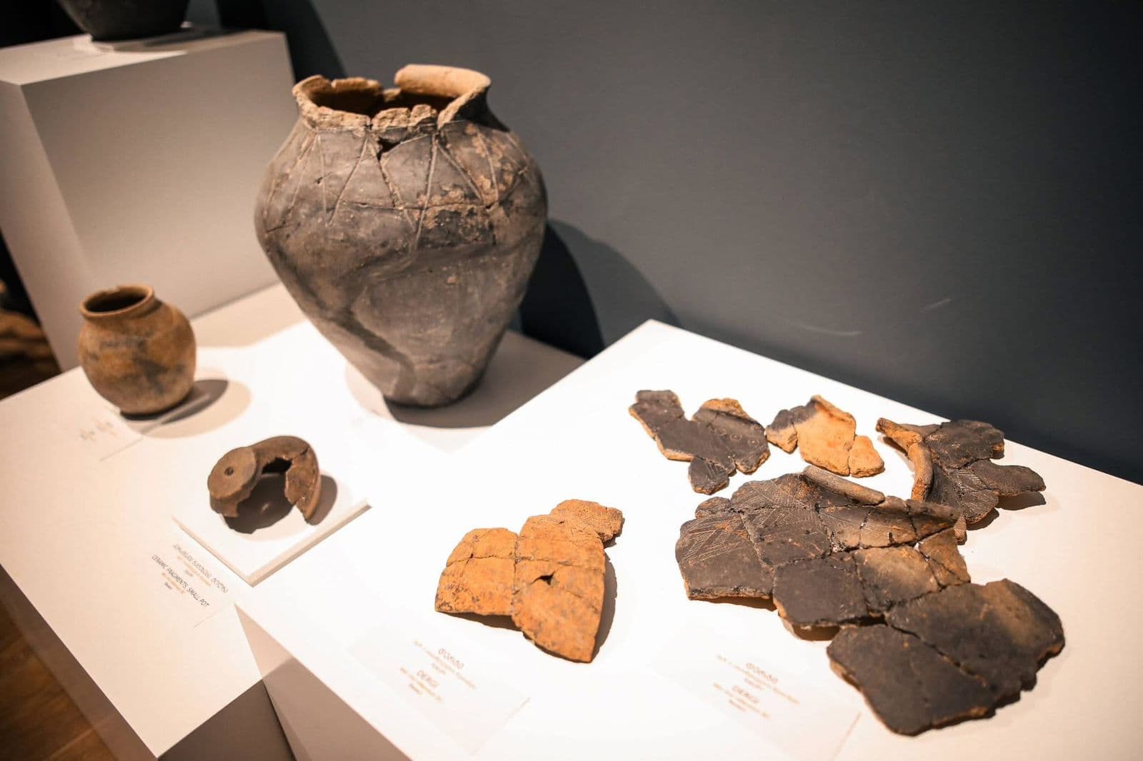 <p style="text-align: justify">The renovated Tetritskaro Local History Museum was officially opened in the city of Tetritskaro on Sunday.</p><p style="text-align: justify">The opening ceremony was attended by Tetritskaro Mayor Mikheil Aptsiauri and State Representative in Kvemo Kartli Ilia Jalaghania, who jointly inaugurated the newly rehabilitated museum.</p><p style="text-align: justify">Founded in 1965–1966, the Museum marks its 60th anniversary this year, coinciding with the completion of the renovation works. Over the decades, the museum has played an important educational and cultural role, though its building and infrastructure had gradually required substantial modernisation.</p><p style="text-align: justify">As part of the rehabilitation project, the museum building underwent extensive renovation and reconstruction. The works included the refurbishment of administrative offices, installation of a central heating system, rehabilitation of storage and auxiliary spaces and the modernisation of the conference hall. New, contemporary exhibition spaces were created and conditions for the protection and preservation of exhibits were significantly improved.</p><p style="text-align: justify">Officials said the renovation has brought the museum in line with modern standards, enhancing its appeal for local residents, young people and visitors alike. The upgraded infrastructure is expected to contribute to more effective presentation of cultural heritage and promote the history of Tetritskaro among tourists.</p><p style="text-align: justify">There are up to 11,000 exhibits preserved in the museum, from the Eneolithic era to the twentieth century. Combat weapons and labour tools, horse harnesses, women's jewellery as well as cornelian, turquoise and glass beads, iron axe heads and clay household utensils were found at the Tetritskaro municipality territory and dating back to the VII-IV centuries BC. </p>