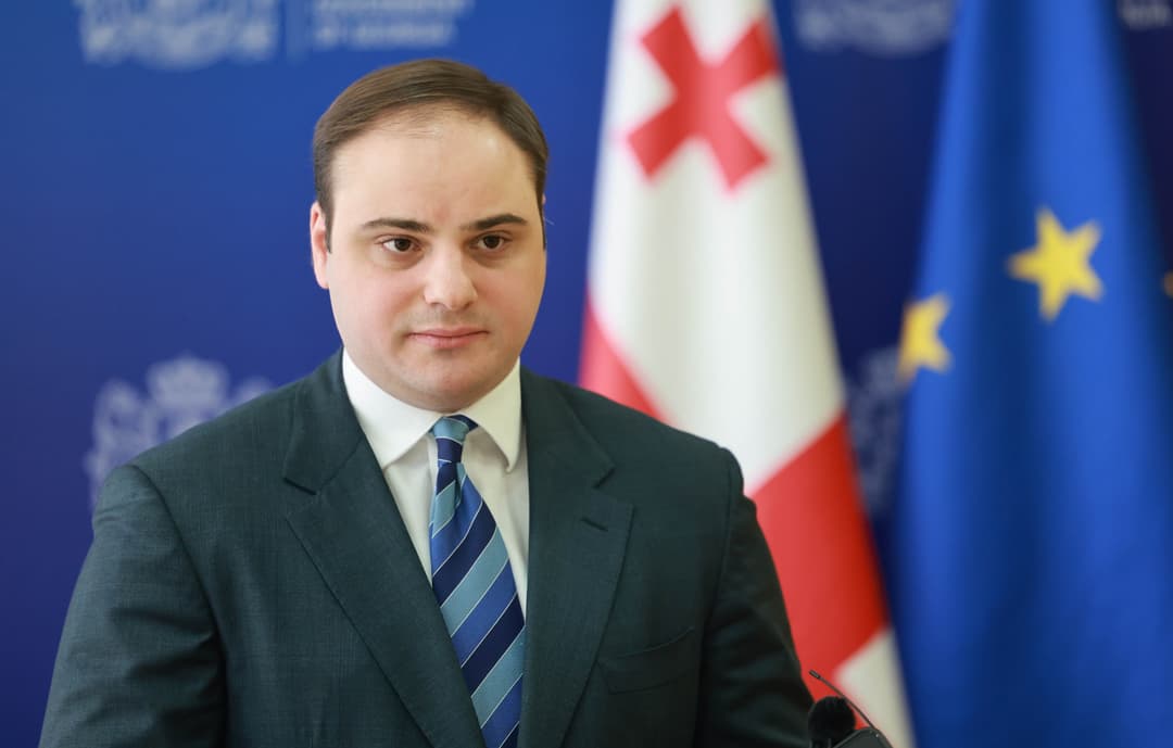 ლევან ჟორჟოლიანი - რისკების დაზღვევის მიზნით დამონტაჟდება მონიტორინგის სისტემები, შეიქმნება სამთავრობო საკოორდინაციო მექანიზმი