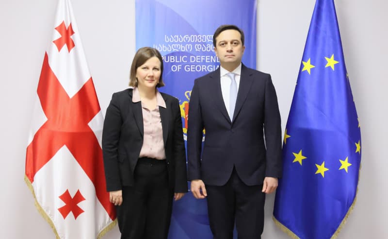 ლევან იოსელიანი ეუთოს ადამიანური განზომილების "მოსკოვის მექანიზმის" ფარგლებში დანიშნულ მომხსენებელს შეხვდა