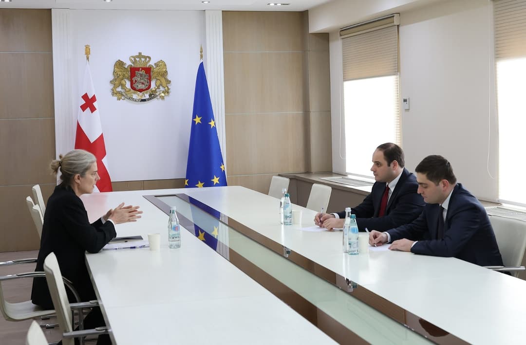 ლევან ჟორჟოლიანი წითელი ჯვრის საერთაშორისო კომიტეტის (ICRC) დელეგაციის ხელმძღვანელს შეხვდა