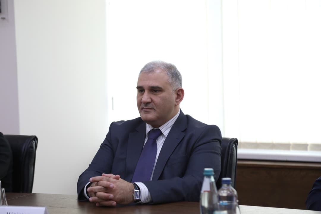 მიხეილ სარჯველაძე - ფაქტია, რომ იმ მედიკამენტებზე, რომელზეც ვრცელდება რეფერენტული პოლიტიკა, უზრუნველყოფილია სამართლიანი ფასები