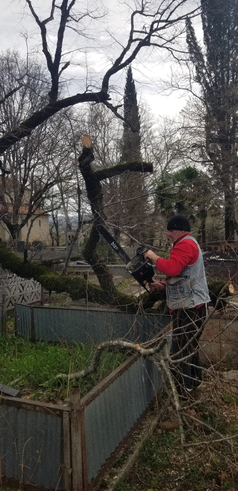 <p style="text-align: justify">თერჯოლის მუნიციპალიტეტში, აღდგომის დღესასწაულთან დაკავშირებით, სასაფლაოების მიმდებარე ტერიტორიების და მისასვლელი გზების მოწესრიგება მიმდინარეობს.</p><p style="text-align: justify">პრესსამსახურის ინფორმაციით, მუნიციპალიტეტის მასშტაბით, ყველა სასაფლაოსთან მისასვლელი გზა გაიწმინდება და მოიხრეშება, რათა მოსახლეობამ თავისუფლად და უსაფრთხოდ შეძლოს გადაადგილება.</p><p style="text-align: justify">სამუშაოები მუნიციპალიტეტის მერიისა და ა (ა) იპ დასუფთავებისა და კეთილმოწყობის მუნიციპალური ცენტრის ორგანიზებით მიმდინარეობს.</p>