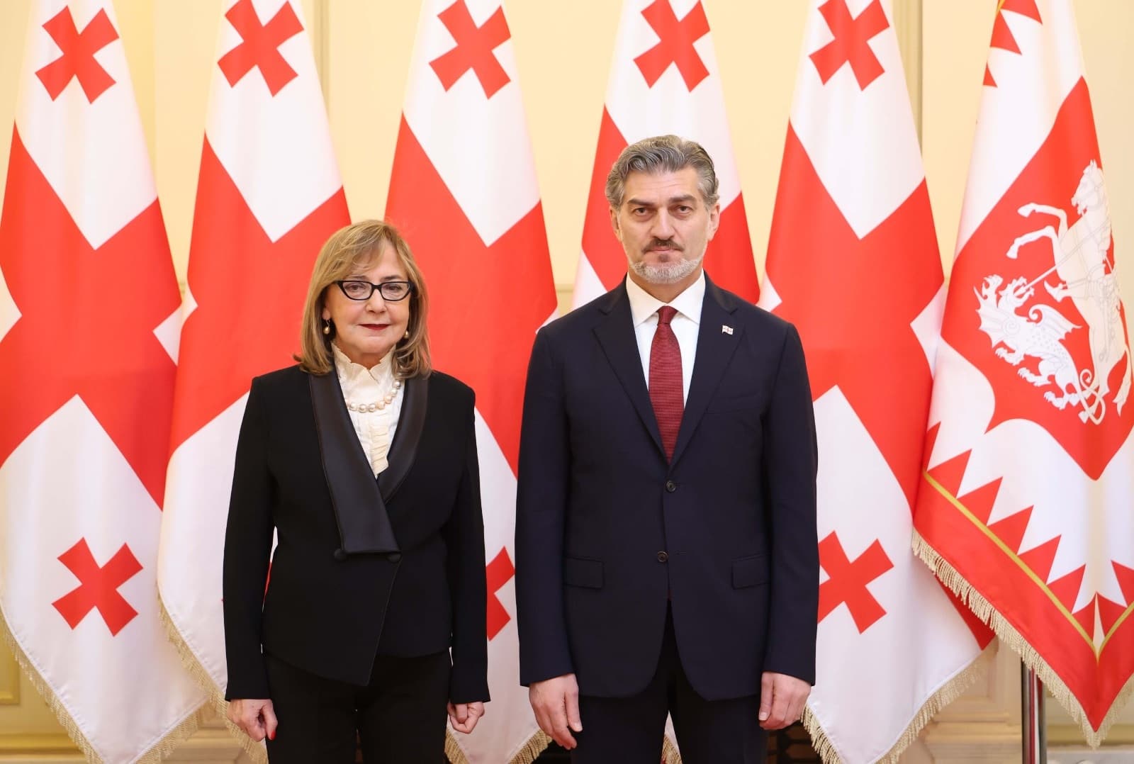 Credentials were presented by ambassadors of Turkey, Bosnia and Herzegovina, Iran, India, Guinea, Gambia, Sri Lanka and Paraguay