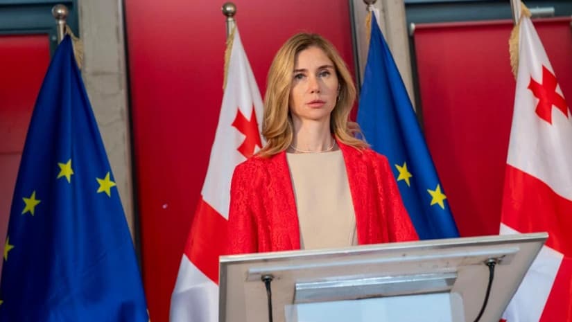 UNM chair calls on public servants to vote for Georgia’s European future
