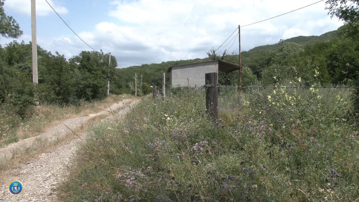 დიდი ოდენობით სახელმწიფო ქონების მოტყუებით დაუფლების ფაქტზე სამი პირი სისხლისსამართლებრივ პასუხისგებაში მისცეს