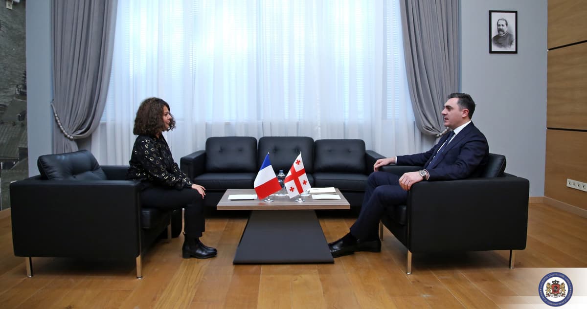 ილია დარჩიაშვილი საფრანგეთის ელჩს შეხვდა