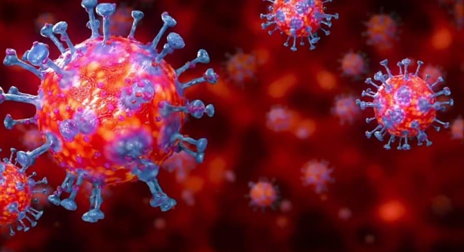 5,697 new cases of coronavirus have been detected in Georgia
