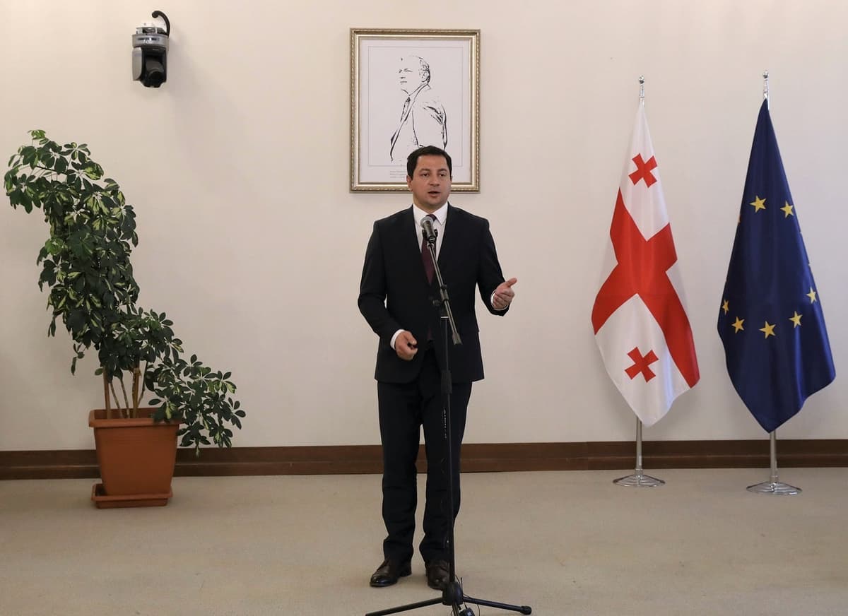 არჩილ თალაკვაძე – საქართველოს ხელისუფლება ქვეყნის გამთლიანებას მხოლოდ და მხოლოდ მშვიდობიანი გზებით გეგმავს