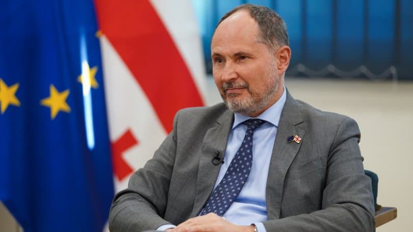 ჰერჩინსკი – საქართველომ უნდა დააჩქაროს მუშაობა, რომ გადავიდეს შემდეგ ეტაპზე