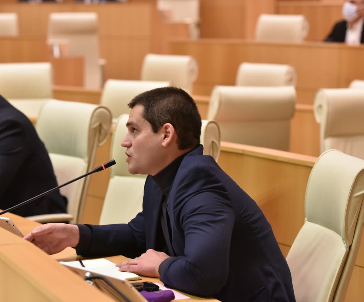 მიშა დაუშვილი “ქართულ ოცნებას” – თქვენ დაამარცხეთ არა “ნაციონალური მოძრაობა”, არამედ საქართველოს მოქალაქეები