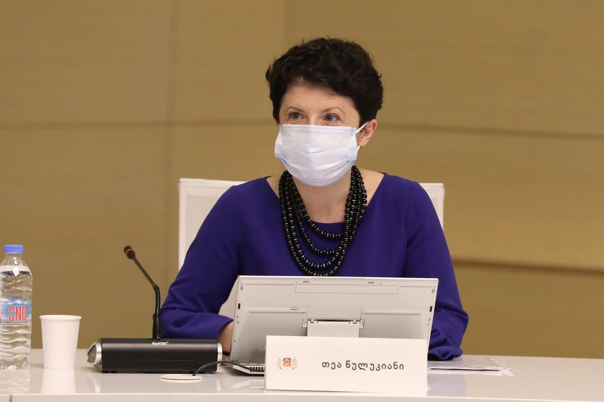 თეა წულუკიანი – არ მგონია, რაიმე ახალი ცვლილება იგეგმებოდეს