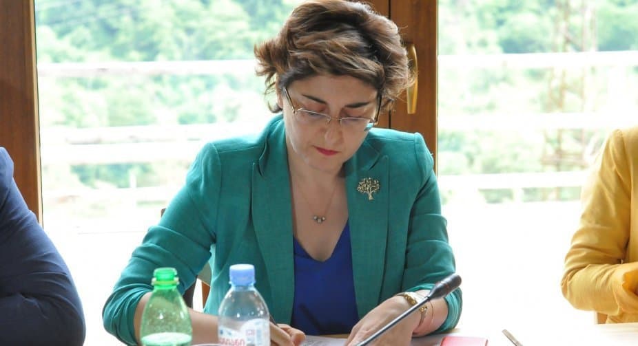 ხათუნა სამნიძე – ეს დაპირისპირება პოლიტიკოსებს შორის არაფერს კარგს არ მოასწავებს