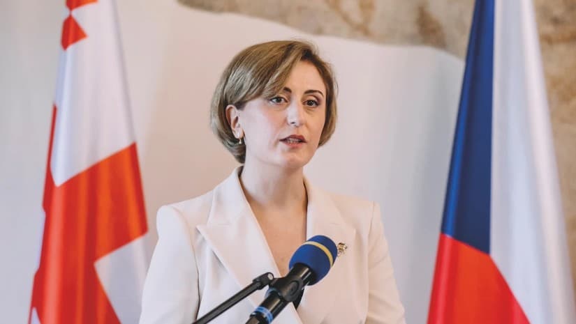 Ex-Ambassador says Georgian Gov't prioritizes Russian interests over Georgia after withdrawal of UNWTO candidate
