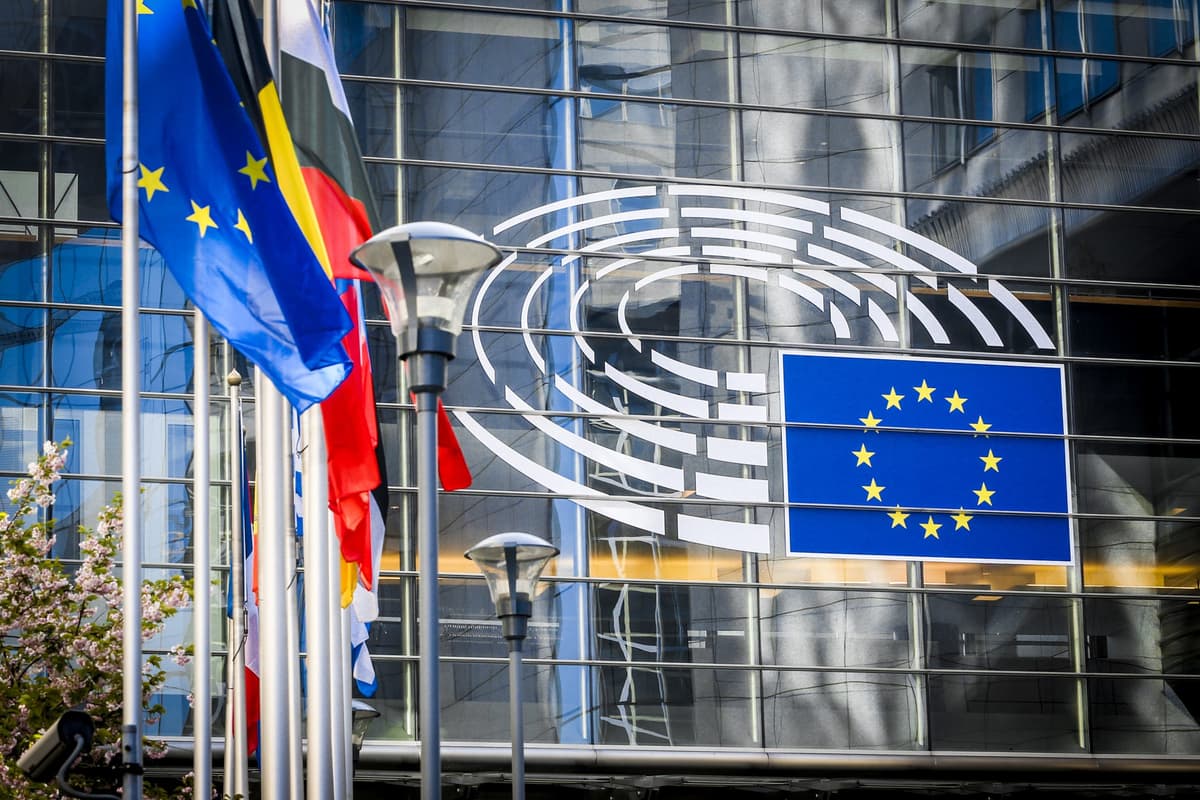 European Parliament’s Foreign Affairs Committee approves critical report on Georgia