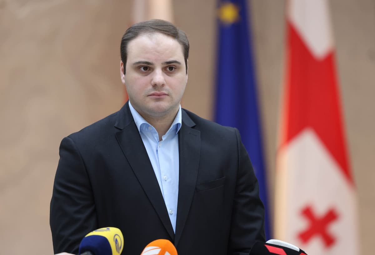 Over ₾52 mln saved in first phase of state enterprise optimisation, Gov’t administration head