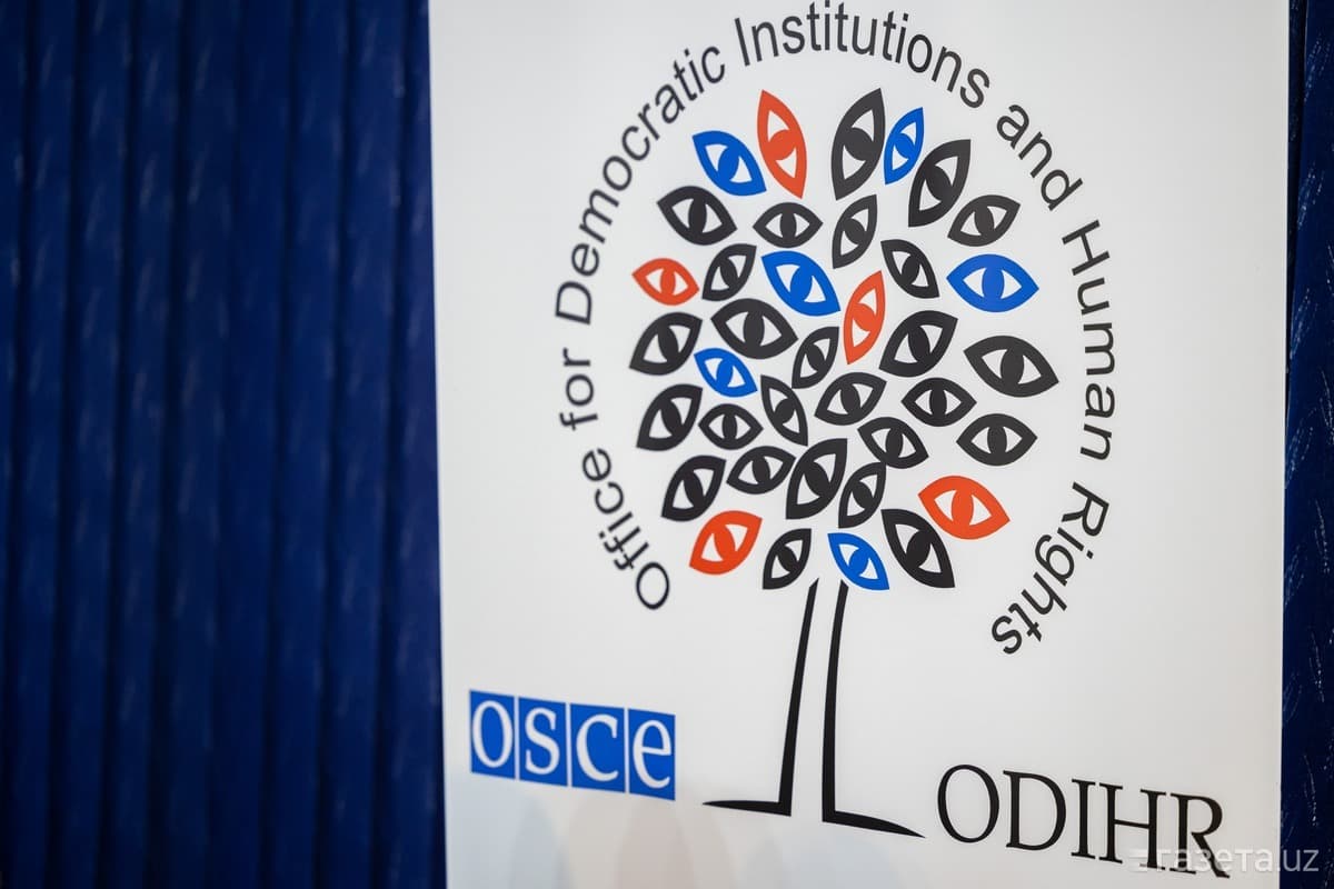 OSCE Human Rights Office slams Georgian Gov't for 'increased pressure' on civil society, political dissent