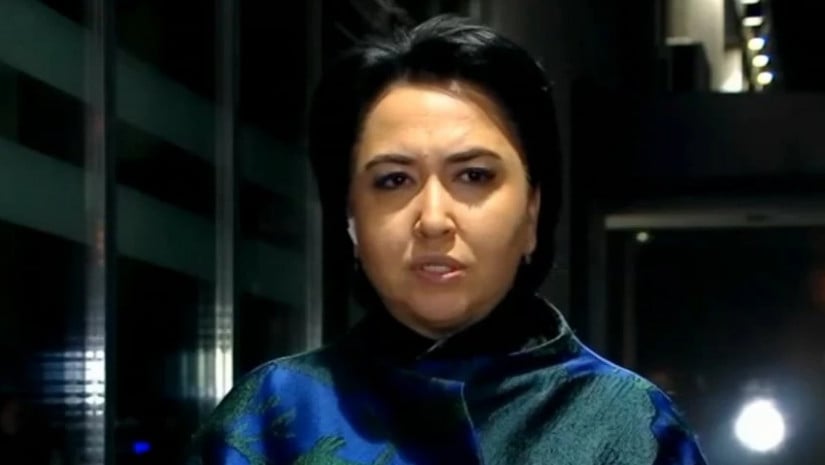 The report on Georgia was presented to the European Parliament’s Foreign Affairs Committee on 25 February.