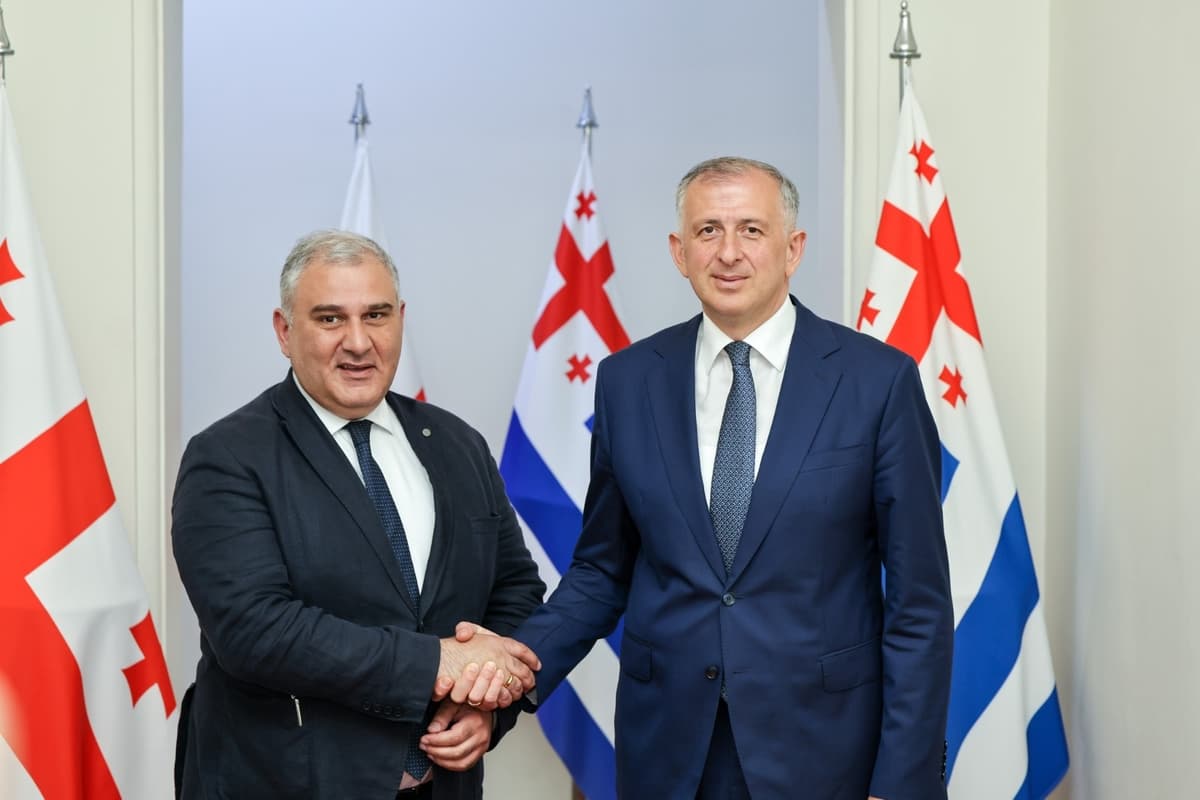 აჭარის მთავრობის თავმჯდომარესა და ჯანდაცვის მინისტრს შორის გაცნობითი ხასიათის შეხვედრა გაიმართა