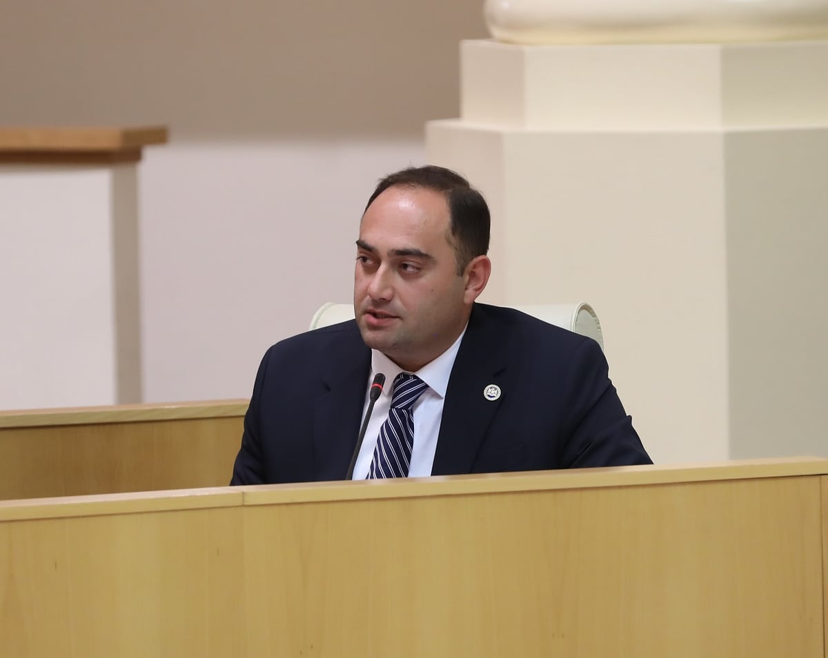 Kadagidze warned that policies focused mainly on sanctions, fines and financial pressure risked creating alienation among citizens and could eventually lead to distrust in state policy
